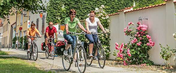 Fünf Ausflugstipps für das Elbe-Elster-Land