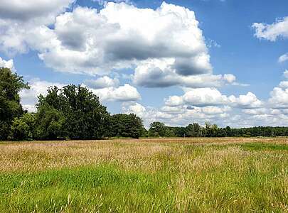 Wanderung auf dem Jakobsweg