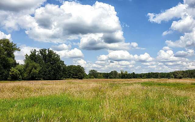 Wanderung auf dem Jakobsweg