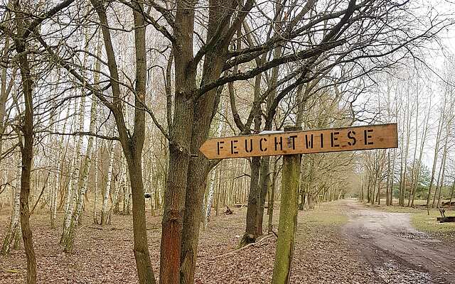 Wildgehege Glauer Tal