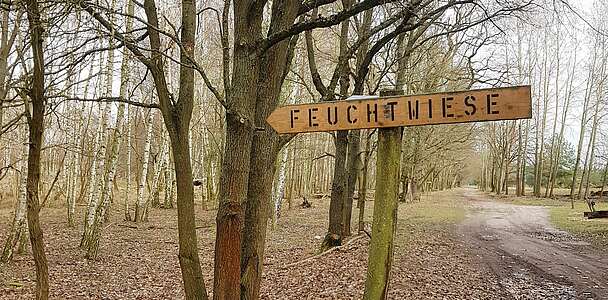 Wildgehege Glauer Tal