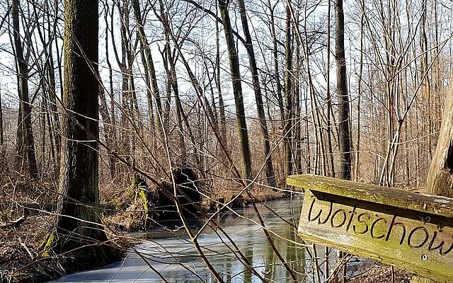 Spreewald im Winter