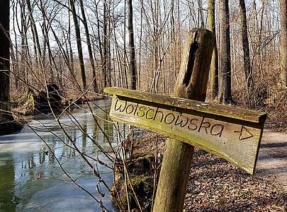 Spreewald im Winter