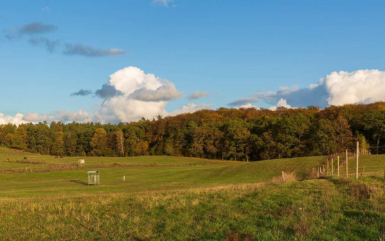 Gut Sarnow in Schorfheide OT Groß Schönebeck