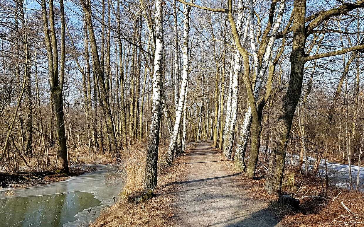 Spreewald im Winter