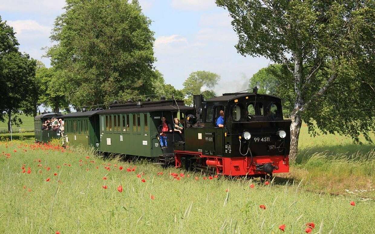 Die Prignitz unter Dampf: die Schmalspurbahn "Pollo" in der Nähe von Lindenberg.