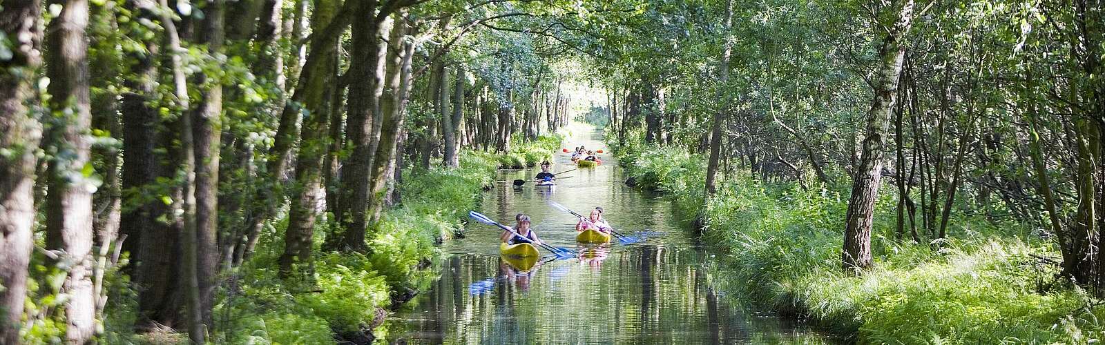 Paddeln im Spreewald,
        
    

        Foto: TMB-Fotoarchiv/Paul Hahn