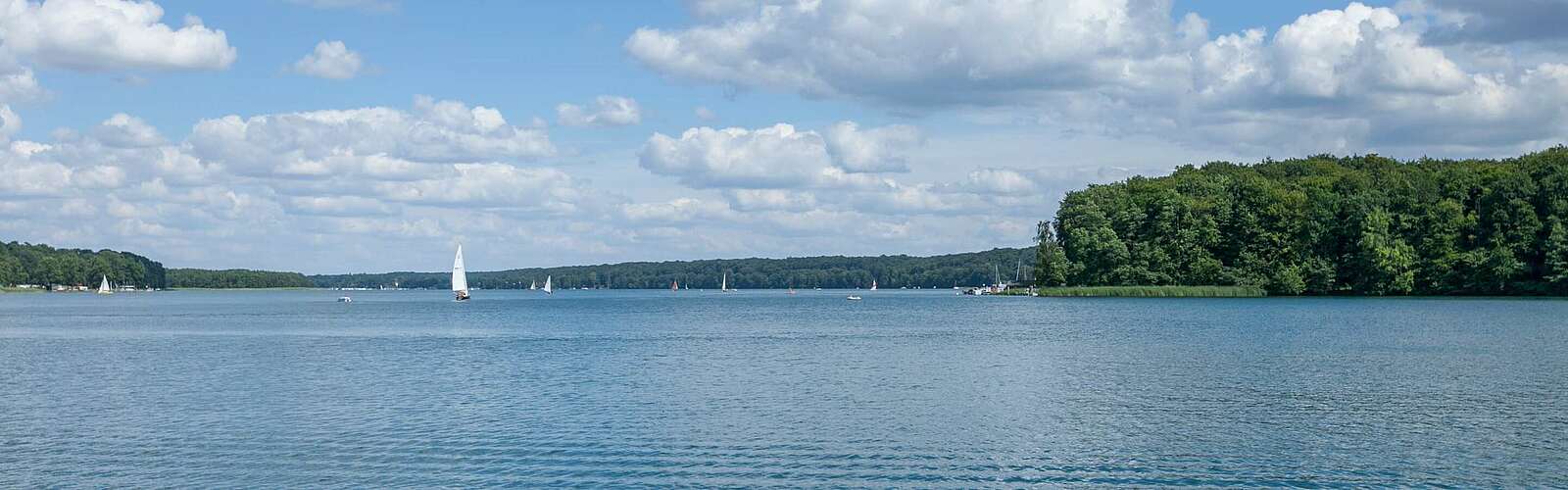 Segelboote auf dem Werbellinsee ,
        
    

        Foto: TMB-Fotoarchiv/Steffen Lehmann