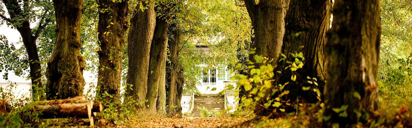 Allee zum Gut Boltenhof,
        
    

        
            Foto: Gut Boltenhof