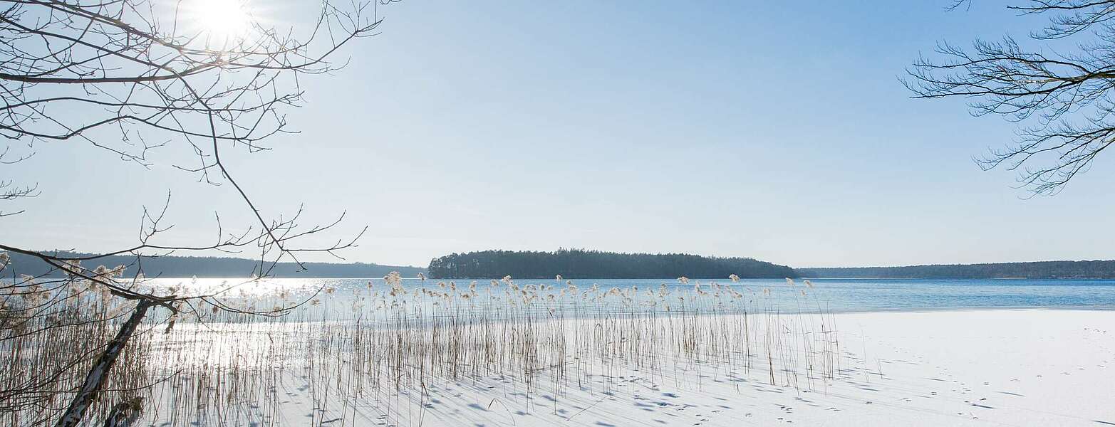 Winterlicher Stechlinsee,
        
    

        Foto: TMB-Fotoarchiv/Steffen Lehmann