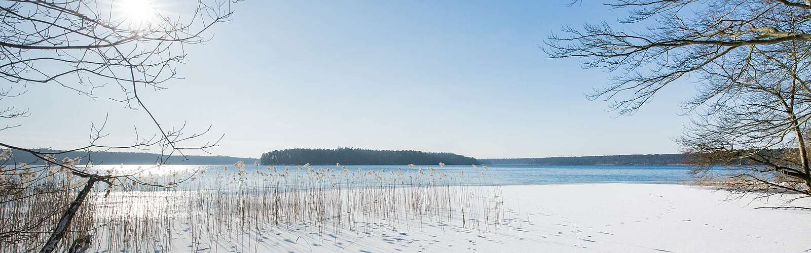Winterlicher Stechlinsee,
        
    

        Foto: TMB-Fotoarchiv/Steffen Lehmann