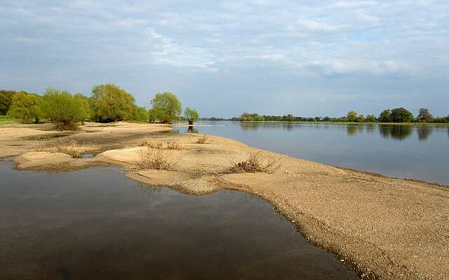 Elbe bei Rühstädt