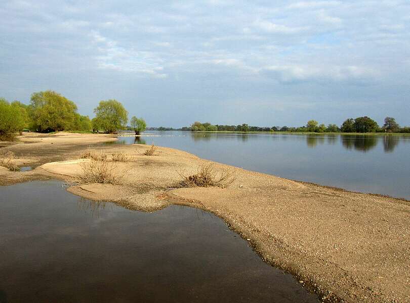 Elbe bei Rühstädt