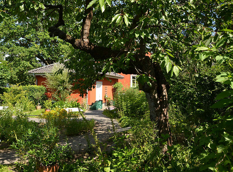 Der Apothekergarten von Beatrix Schlegel in Milow