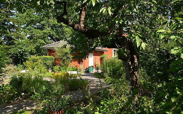 Der Apothekergarten von Beatrix Schlegel in Milow