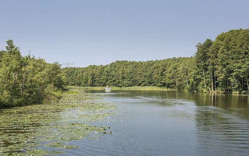 



        
            Hausboot auf der Havel bei Fürstenberg,
        
    

        Foto: TMB-Fotoarchiv/Steffen Lehmann
    