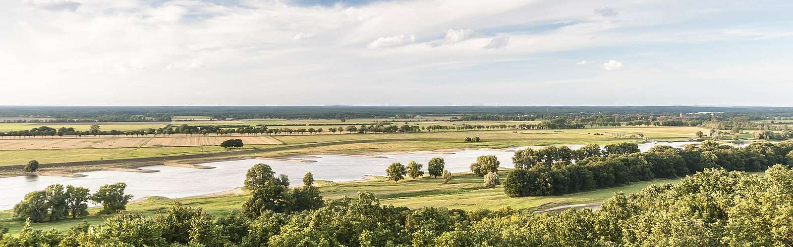 Elbtalaue bei Lenzen,
        
    

        Foto: TMB-Fotoarchiv/Dieter Damschen