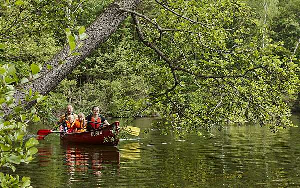 Familien-Kanutour im Naturpark Dahme-Heideseen