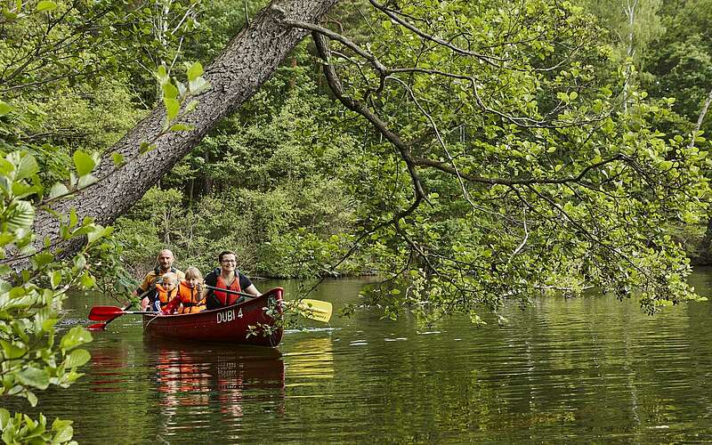 



        
            Familien-Kanutour im Naturpark Dahme-Heideseen,
        
    

        Foto: TMB-Fotoarchiv/Michael Handelmann
    