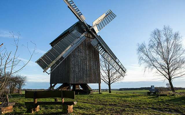 Bockwindmühle Borne