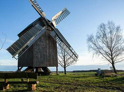 Bockwindmühle Borne