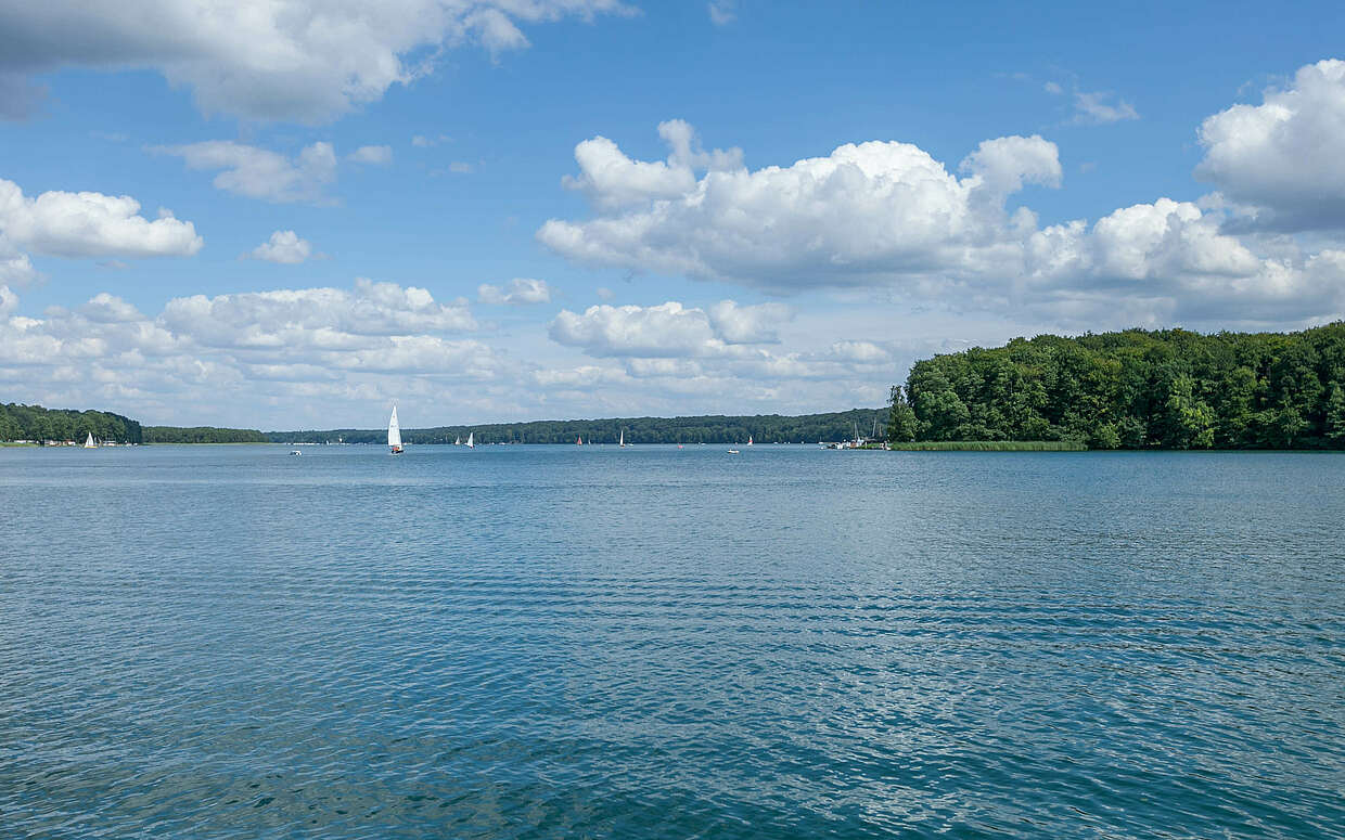 Der Werbellinsee in der Schorfheide.