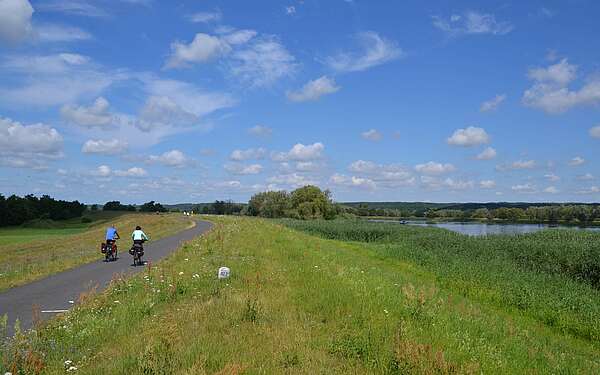 Zwei Radfahrer auf dem Oder-Neiße-Radweg