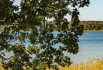 Camping im Fläming