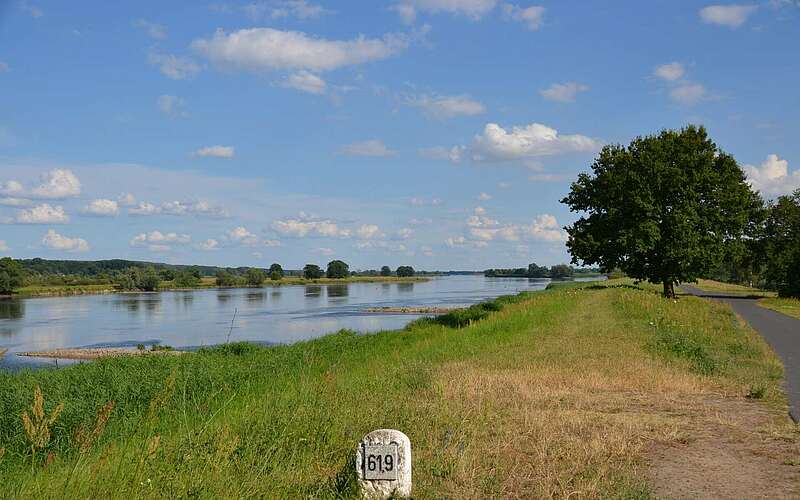 



        
            An der Oder bei Bienenwerder,
        
    

        Foto: TMB-Fotoarchiv/Matthias Schäfer
    