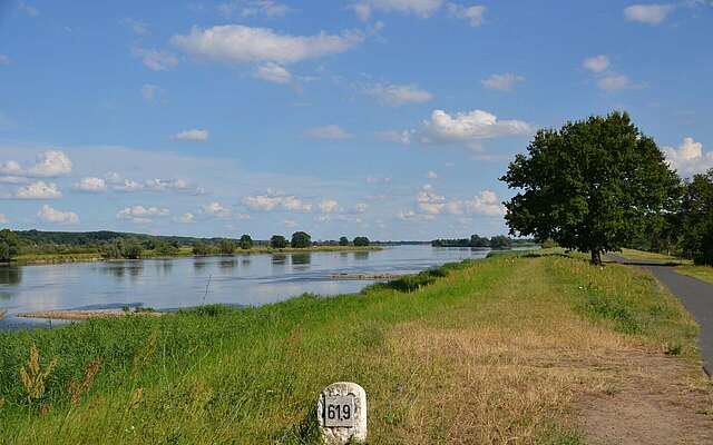 An der Oder bei Bienenwerder