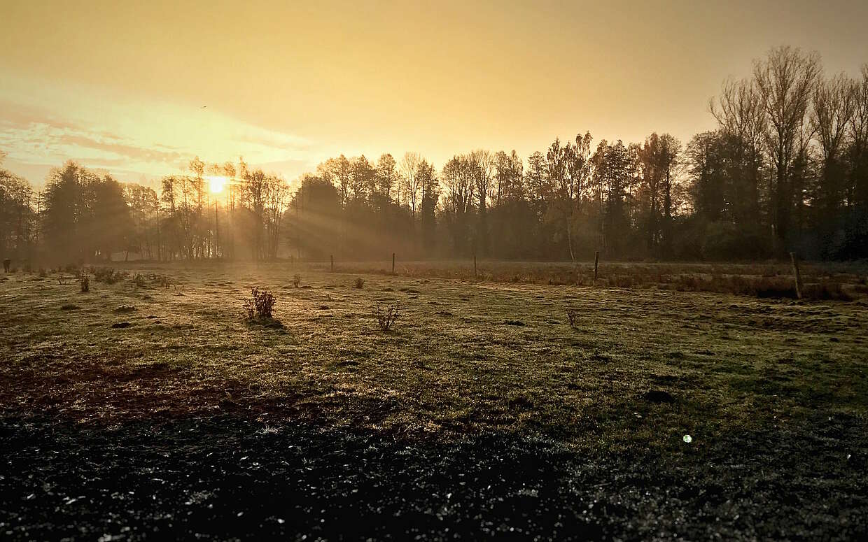 Sonnenaufgang im Spreewald