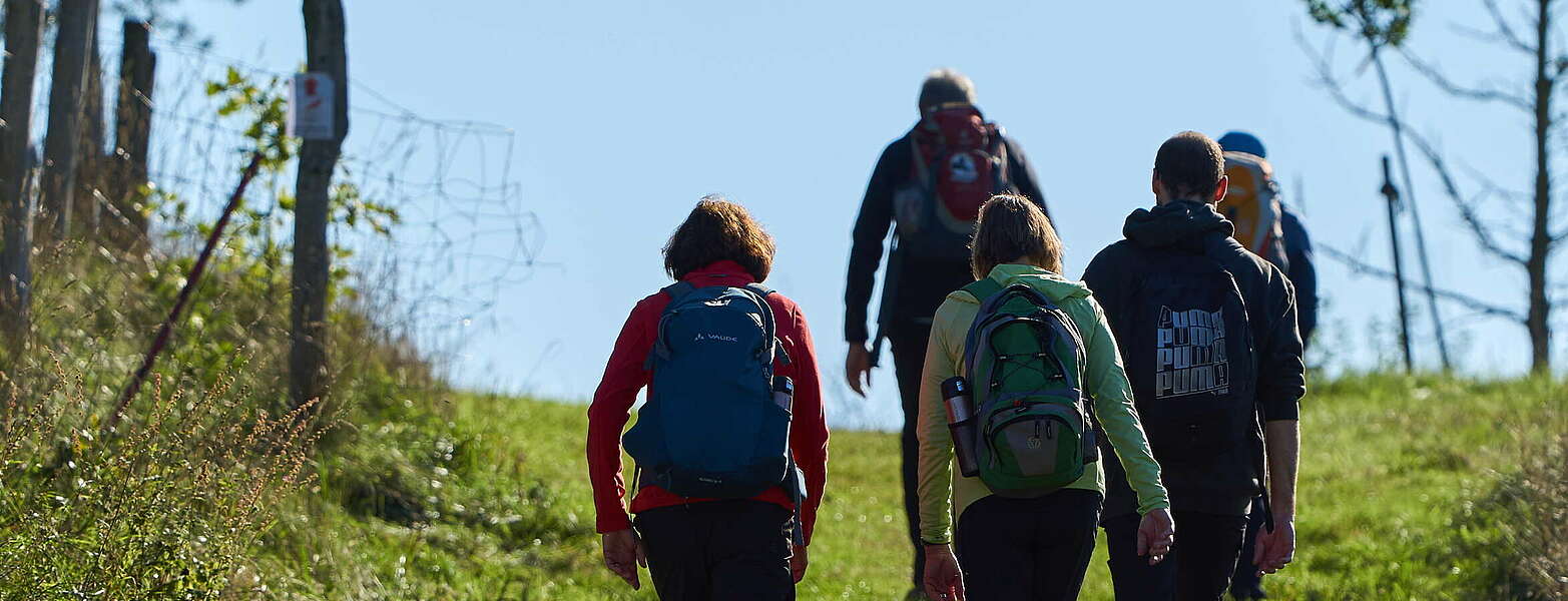 Wanderer im Naturpark Stechlin-Ruppiner Land,
        
    

        Foto: Tourismusverband Ruppiner Seenland e.V./Thomas Janowitz