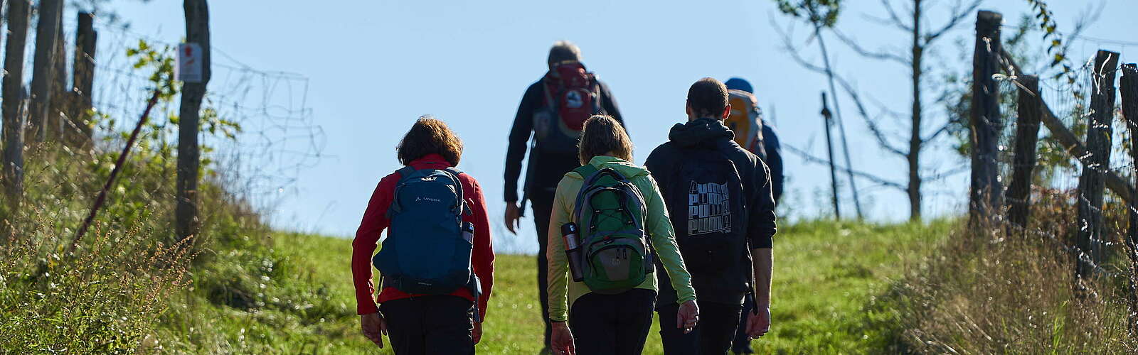 Wanderer im Naturpark Stechlin-Ruppiner Land,
        
    

        Picture: Tourismusverband Ruppiner Seenland e.V./Thomas Janowitz