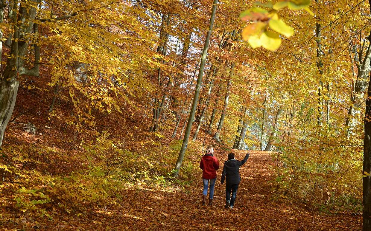 Herbstwanderung im Schlaubetal