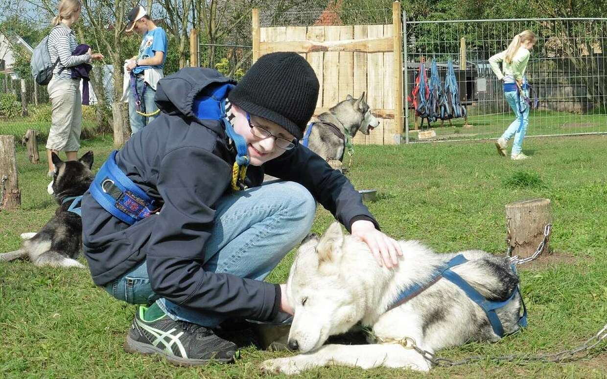 Freizeit mit Huskies barrierefrei