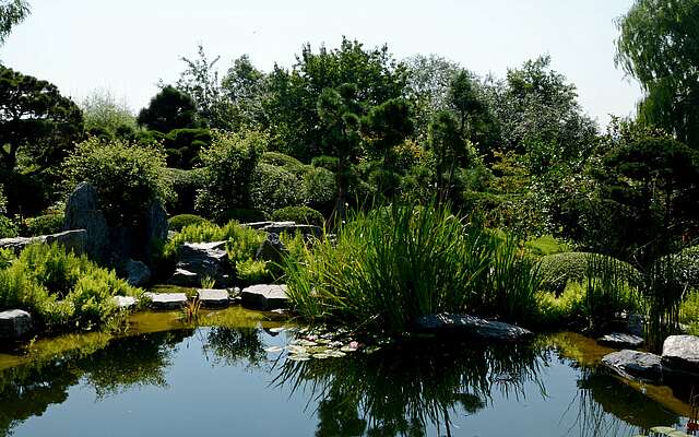 Teich im Japanischen Garten in Bartschendorf