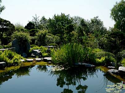 Teich im Japanischen Garten in Bartschendorf