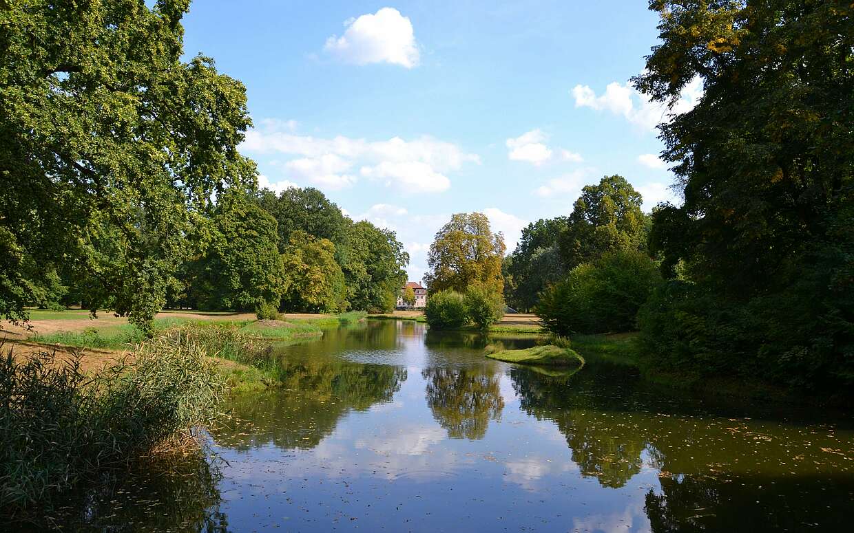 Blickachse im Branitzer Park über den Teich in Richtung Schloss