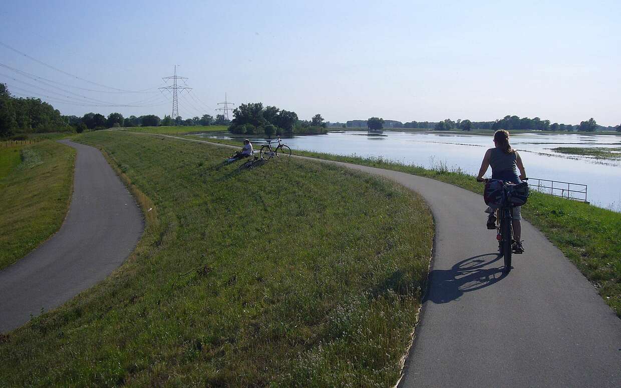 Fahrradfahrer auf dem Elberadweg