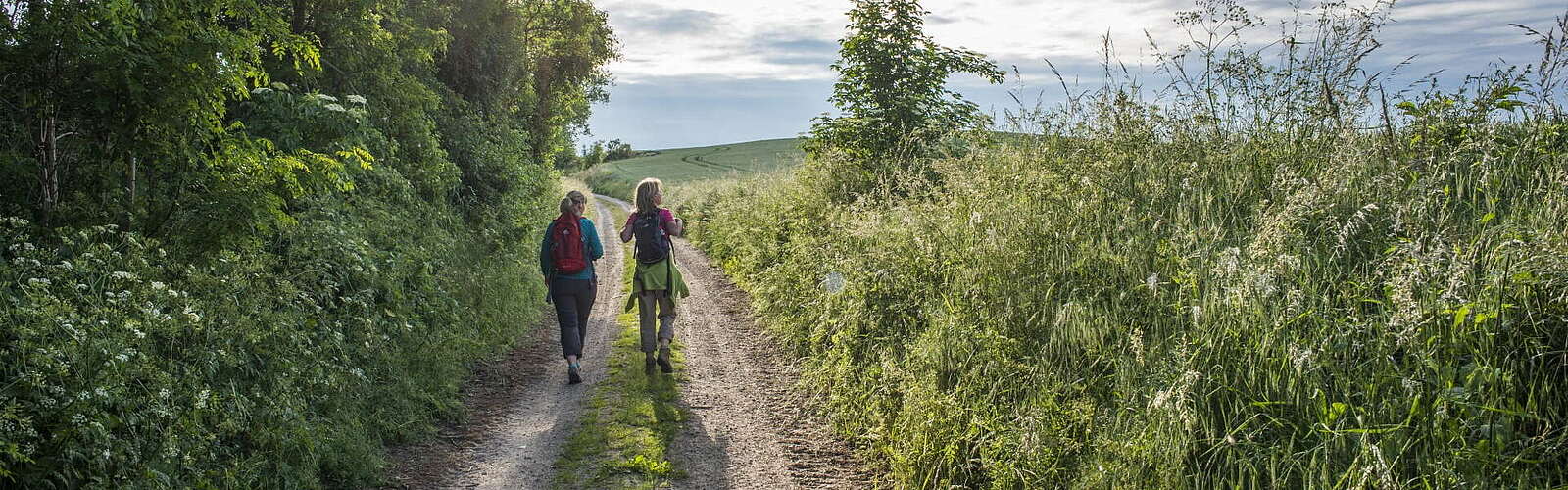 Wandern in der Uckermark,
        
    

        Foto: tmu GmbH/Klaus-Peter Kappest