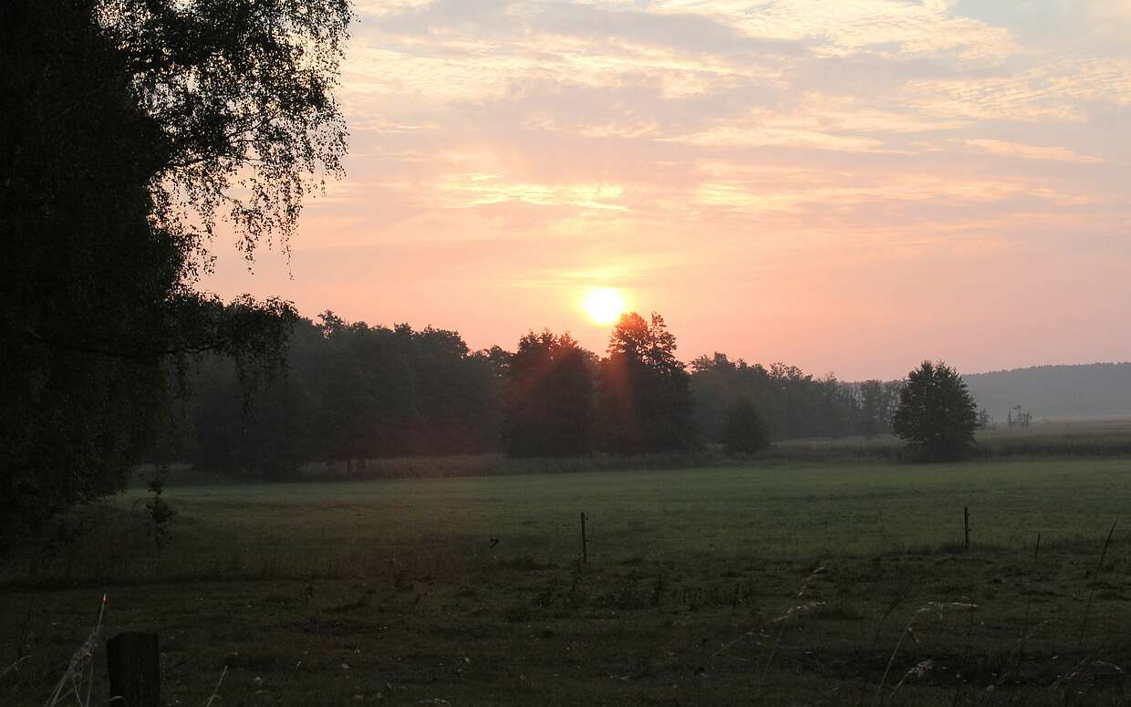 Sonnenuntergang über dem Rambower Moor.