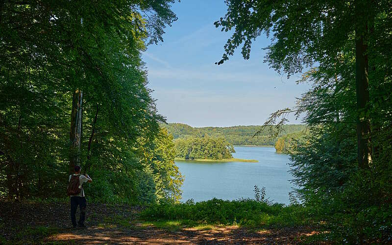 



        
            Fontane-Wandermarathon 2023,
        
    

        Foto: Tourismusverband Ruppiner Seenland e.V./Thomas Janowitz
    