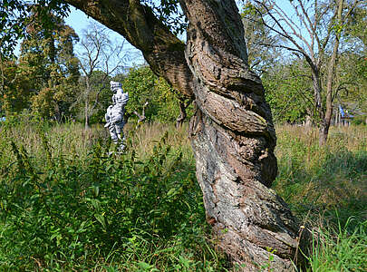 Skulpturenpark Schwante Toby Ziegler mit Baum