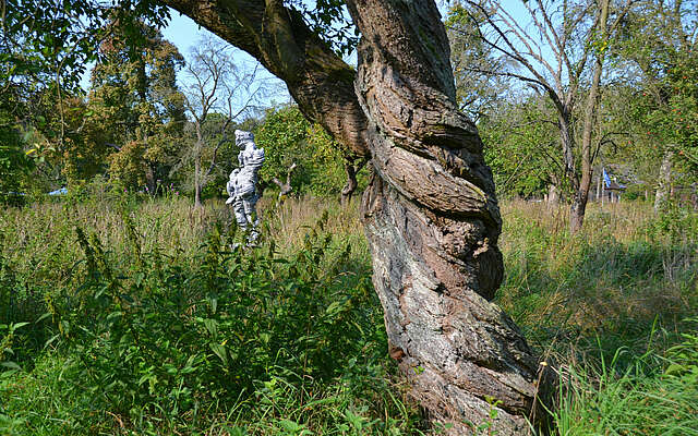 Skulpturenpark Schwante Toby Ziegler mit Baum