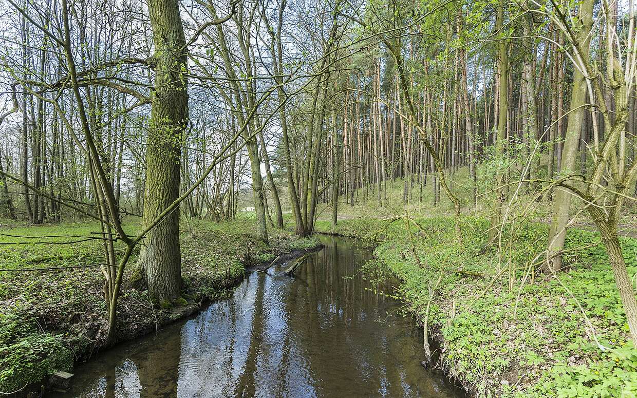 Die Plane im Naturpark Hoher Fläming