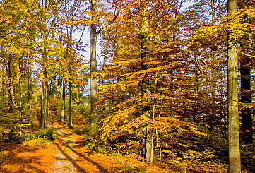 Schorfheiderundweg