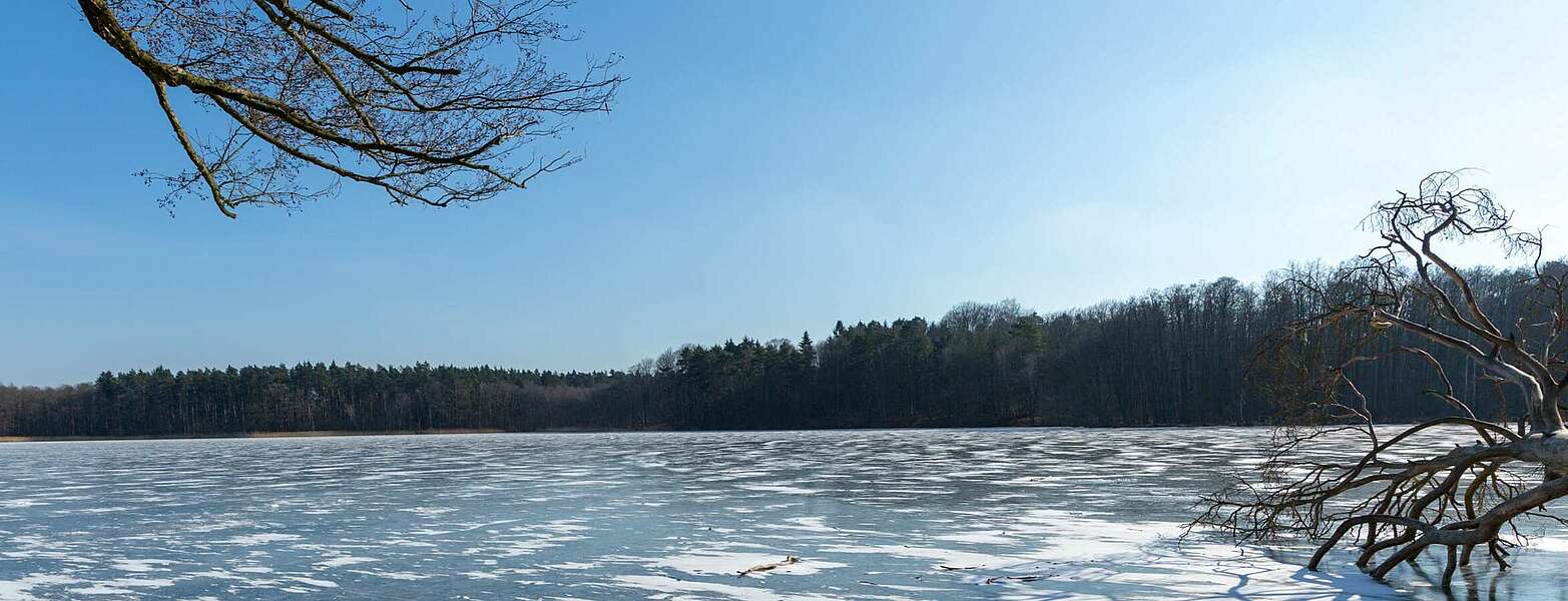 Eisdecke auf dem Hellsee,
        
    

        Foto: TMB-Fotoarchiv/Steffen Lehmann