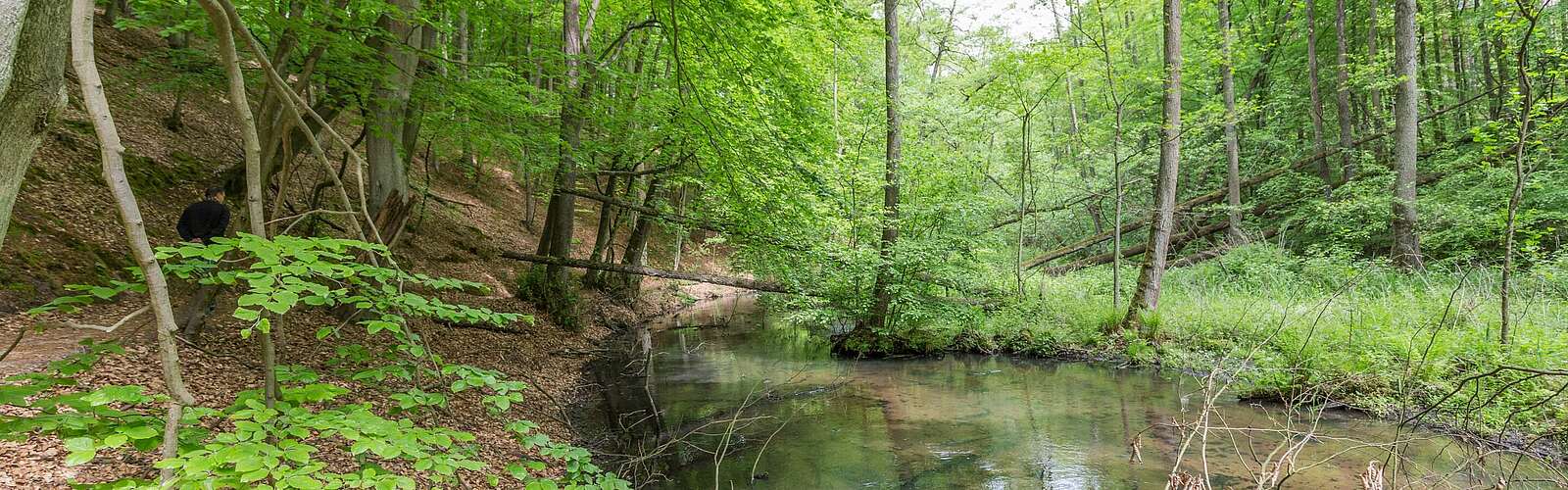 Wanderer im Schlaubetal,
        
    

        Foto: TMB-Fotoarchiv/Steffen Lehmann