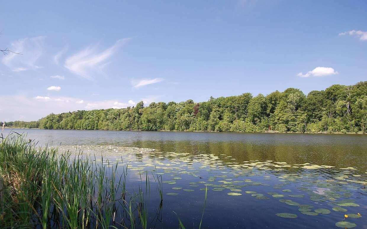 Groß Behnitzer See