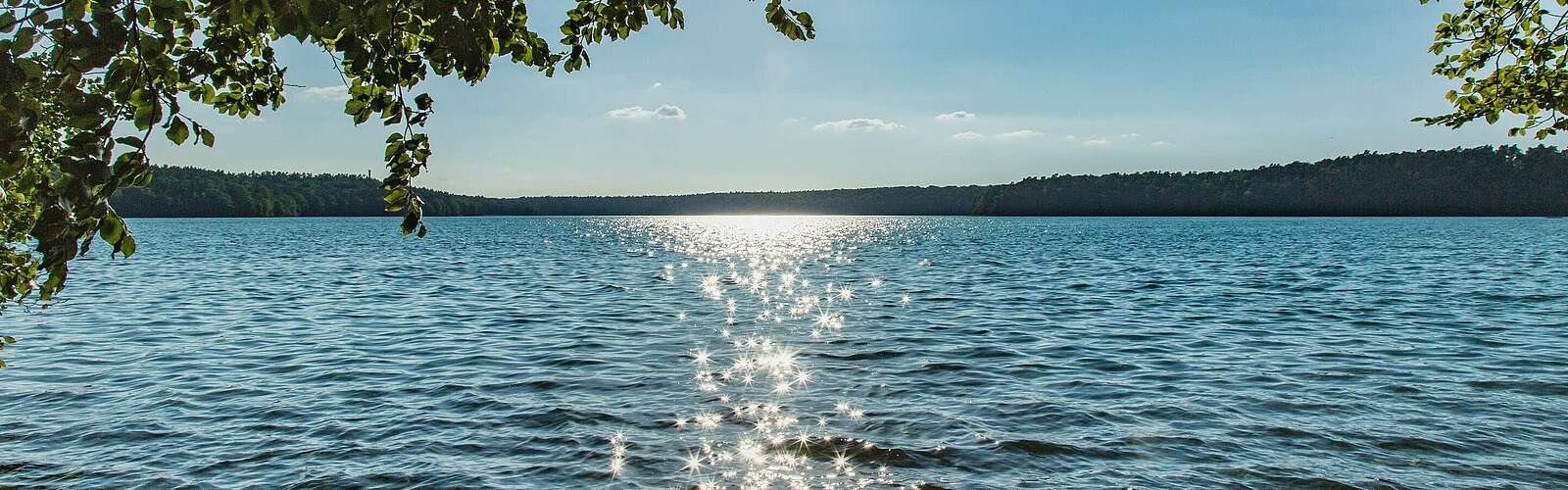 Stechlinsee,
        
    

        Foto: TMB-Fotoarchiv/Steffen Lehmann